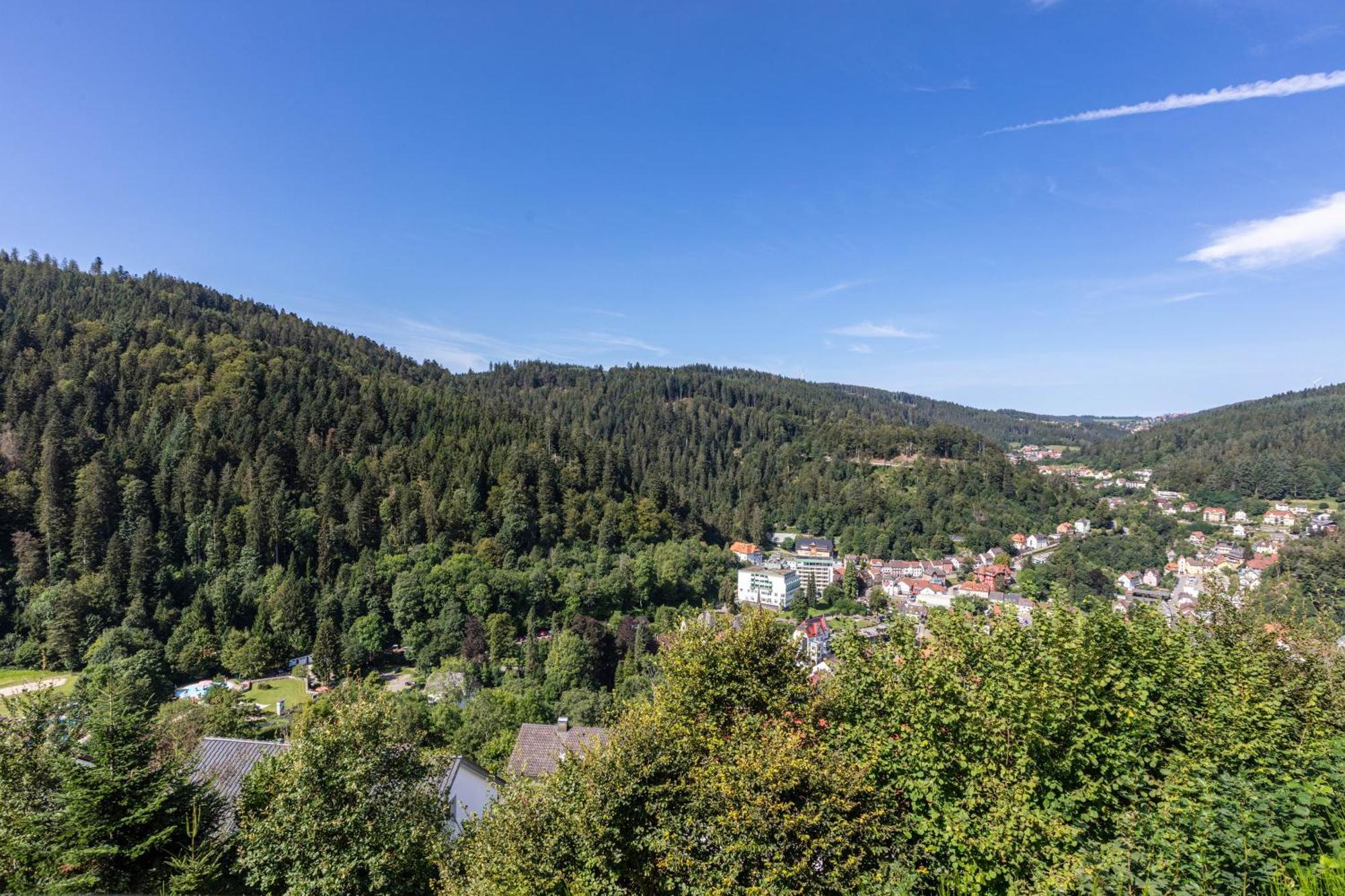 Triberg Blick Lägenhet Triberg im Schwarzwald Exteriör bild